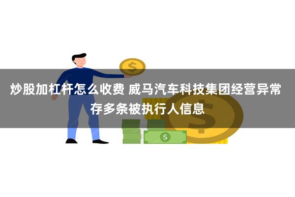 炒股加杠杆怎么收费 威马汽车科技集团经营异常 存多条被执行人信息