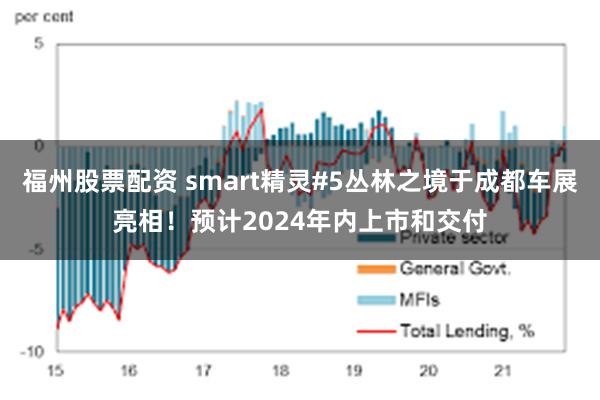 福州股票配资 smart精灵#5丛林之境于成都车展亮相！预计2024年内上市和交付