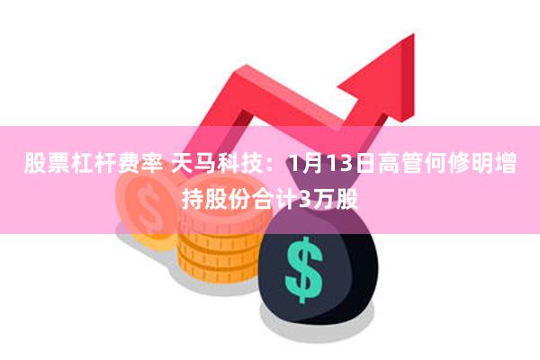 股票杠杆费率 天马科技：1月13日高管何修明增持股份合计3万股