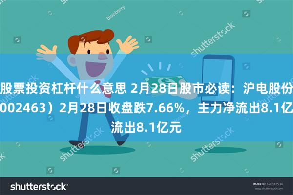 股票投资杠杆什么意思 2月28日股市必读：沪电股份（002463）2月28日收盘跌7.66%，主力净流出8.1亿元